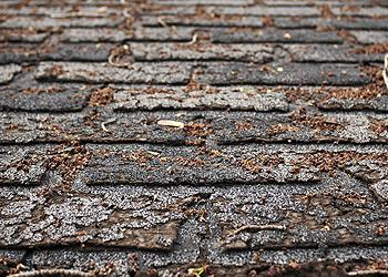 Vanderpool Roofing, LLC Images